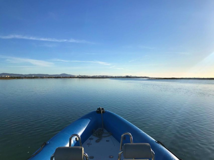 Faro: Speed Boat Tour - Experience and Highlights