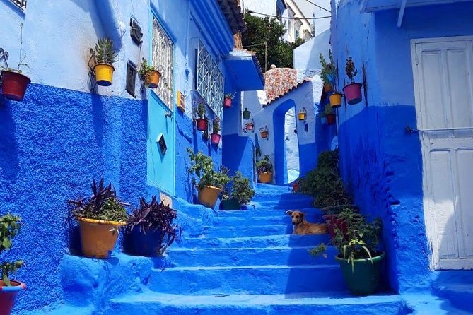 Fes to Chefchaouen Day Trip - Travel Duration and Distance