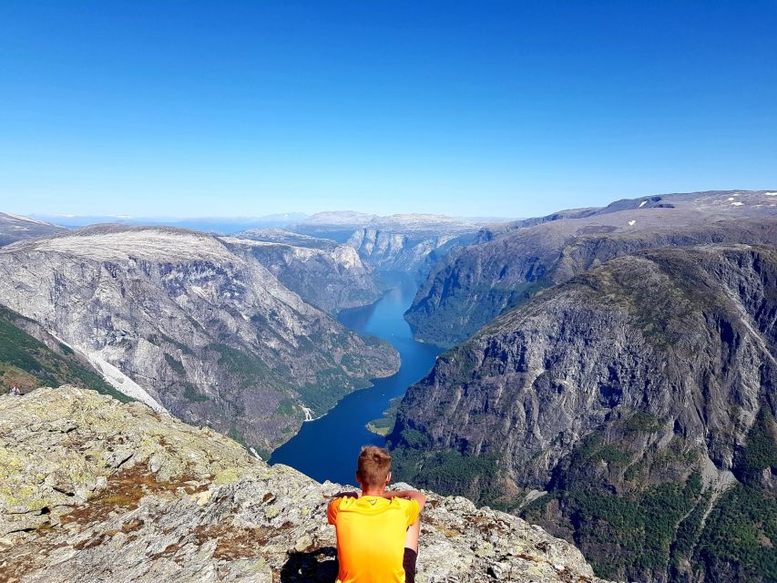 Flåm: Borgund Stave Church, Lærdal, and Stegastein Tour - Highlights of the Tour