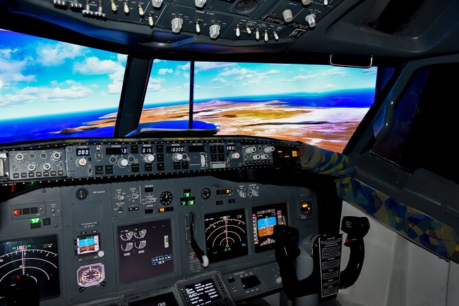 Flight Simulation Experience - Private and Customizable Experience