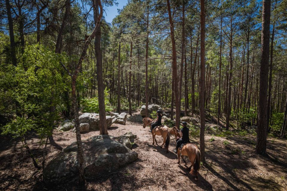 Fontainebleau: Horse-riding, Gastronomy & Château - Highlights of the Day