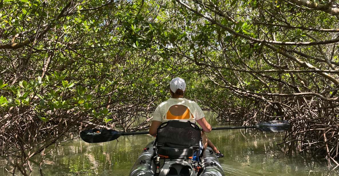 Fort Pierce: 2-hr Jungle Tour at Prehistoric Preserve in FL - Experience Highlights