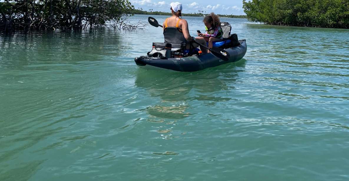 Fort Pierce: 6-hr Mangroves, Coastal Rivers & Wildlife in FL - Experience Highlights