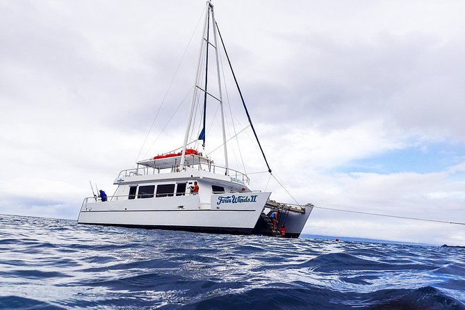 Four Winds Molokini Snorkeling Tour From Maalaea Harbor - Snorkeling Experience