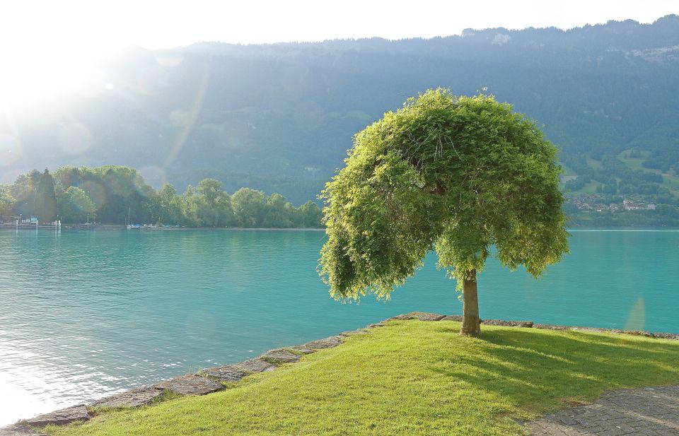 Free-Day in Interlaken Village From Lausanne - Scenic Journey Through the Alps