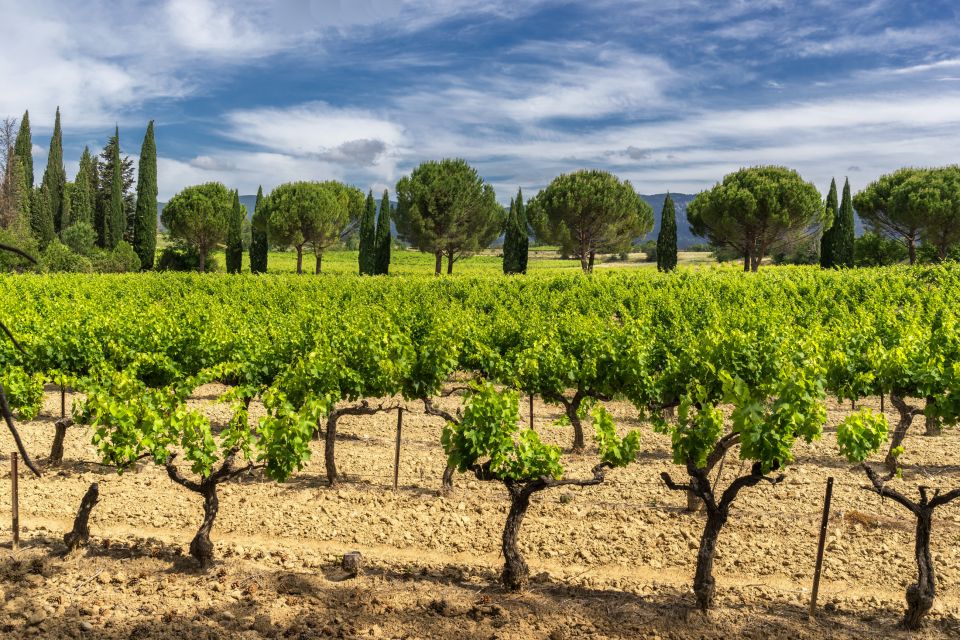 From Aix-En-Provence: Châteauneuf Du Pape Wineries Day Trip - Itinerary Overview