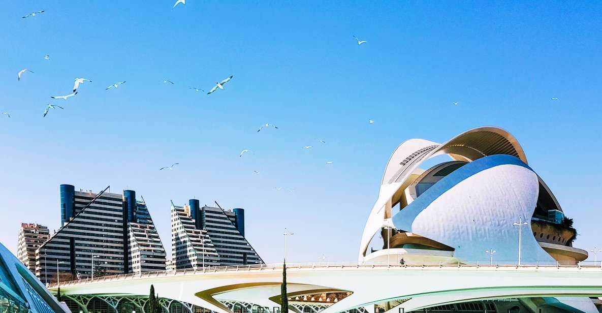 From Alicante: Valencia Full-Day Guided Tour - Inclusions