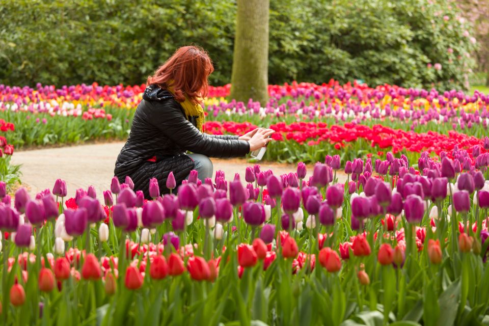 From Amsterdam: Keukenhof Flower Park Transfer & Ticket 2025 - Pricing and Inclusions