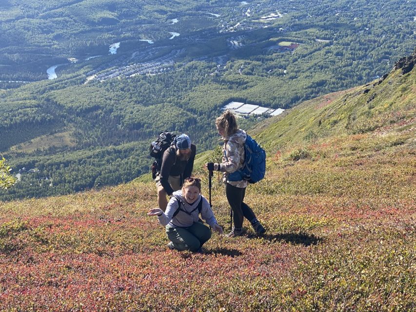 From Anchorage: Chugach State Park Guided Alpine Trek - Highlights of the Experience