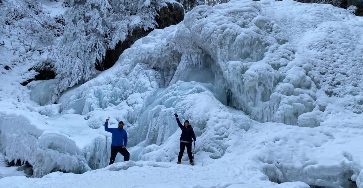 From Anchorage: Chugach State Park Winter Walking Tour - Experience Highlights