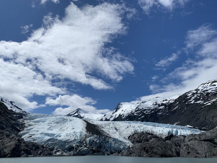 From Anchorage: Valley of Glaciers & Wildlife Center Tour - Viewing Portage Glacier Up Close