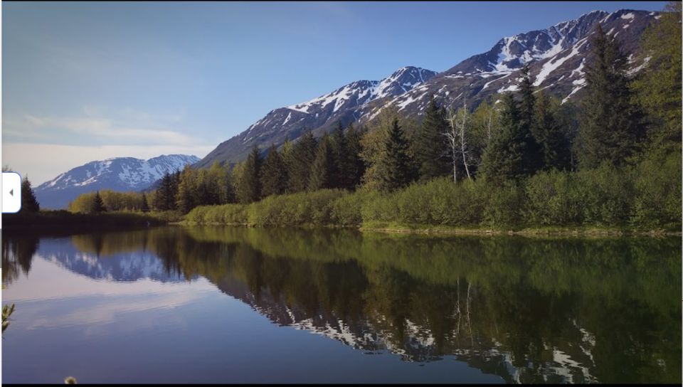 From Anchorage: Wilderness, Wildlife, & Glacier Experience - Activity Overview