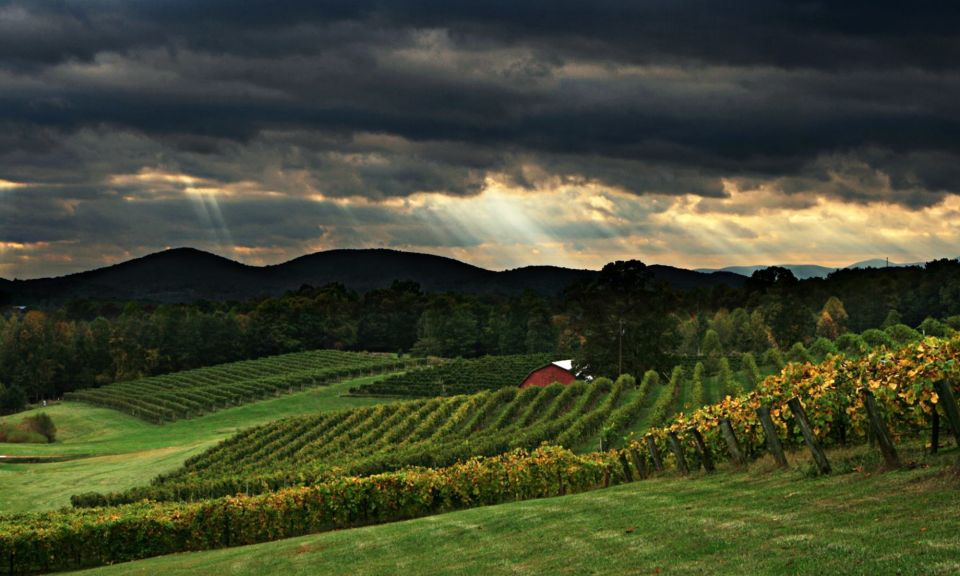 From Atlanta: North Georgia Wine Country Tour - Winery Experiences