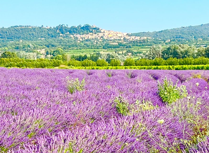 From Avignon: Lavender Tour in Valensole, Sault and Luberon - Starting and Returning Location