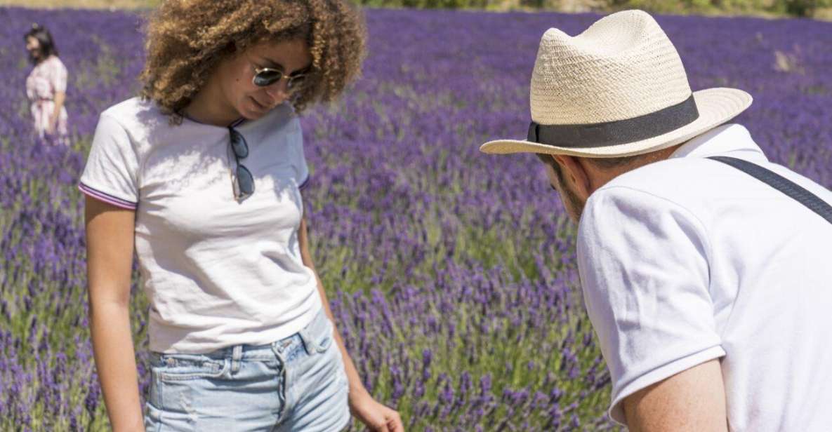 From Avignon: Lavender Villages Day Trip - Picturesque Lavender Fields