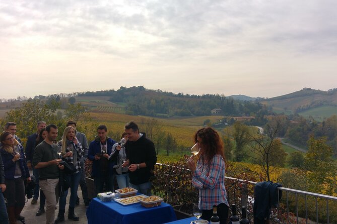 From Bologna: Wine Tasting and Vineyard Tour With the Winemaker - Tour Details