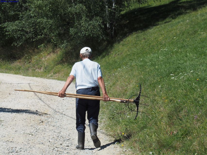 From Brasov: Piatra Craiului National Park 2-Day Guided Trek - Itinerary Details