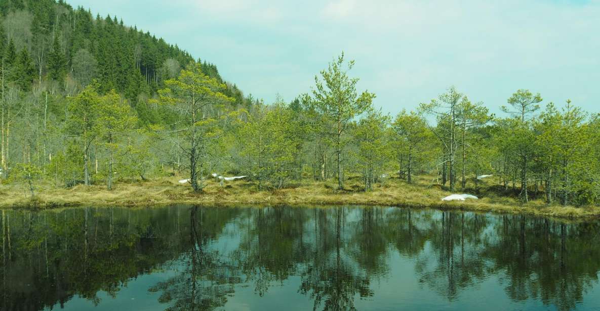 From Brasov: Small-Group Volcanic Lake Day Trip - Booking and Flexibility