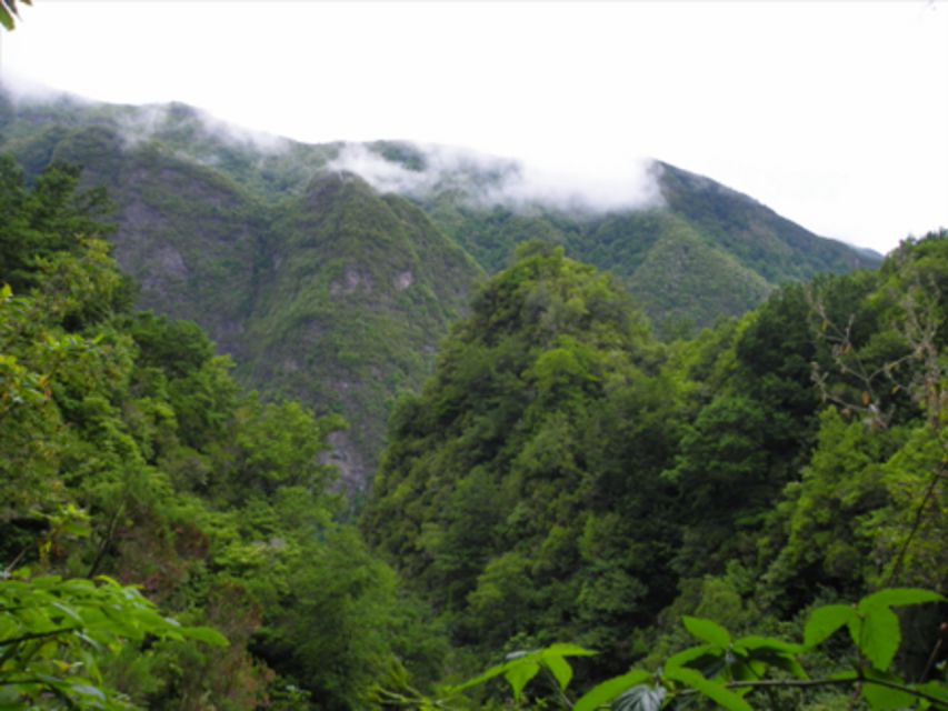 From Caniço/Funchal: Levada Caldeirão Verde Hiking Trip - Booking Information