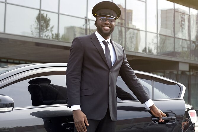 From Cape Town: Full Day Chauffeur - Inclusions and Accessibility