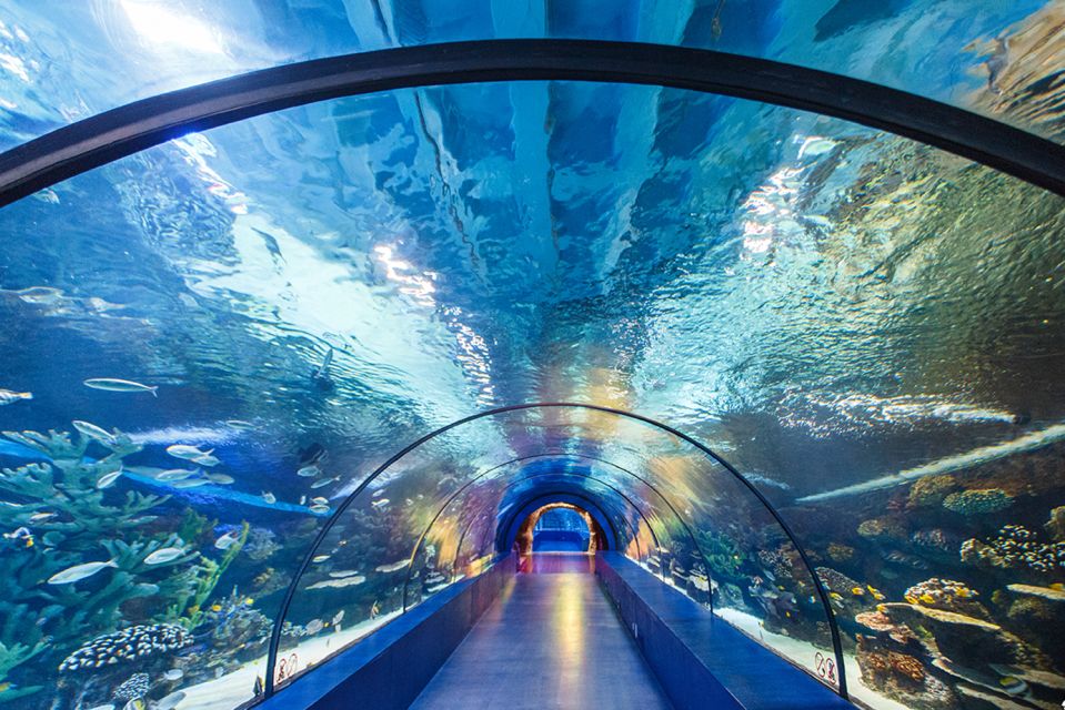 From City of Side: Antalya Aquarium Tour, Ticket & Transfer - Itinerary Highlights