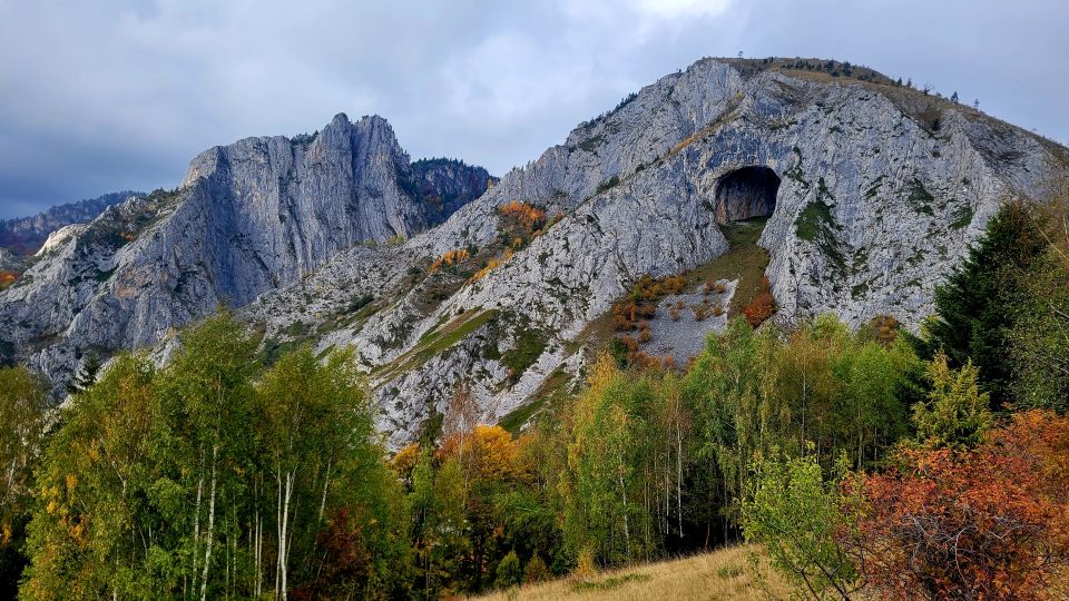 From Cluj-Napoca: Apuseni Mountains Hiking Guided Day Tour - Hiking Experience and Highlights