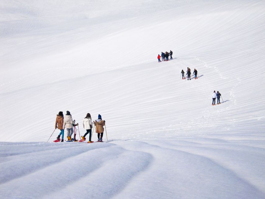 From Cluj: Winter Walking Trip on the Great Mountain - Booking Information