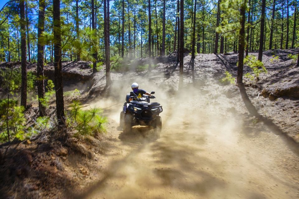 From Costa Adeje: Mount Teide Forest Off-Road Quad Bike Tour - Location and Duration