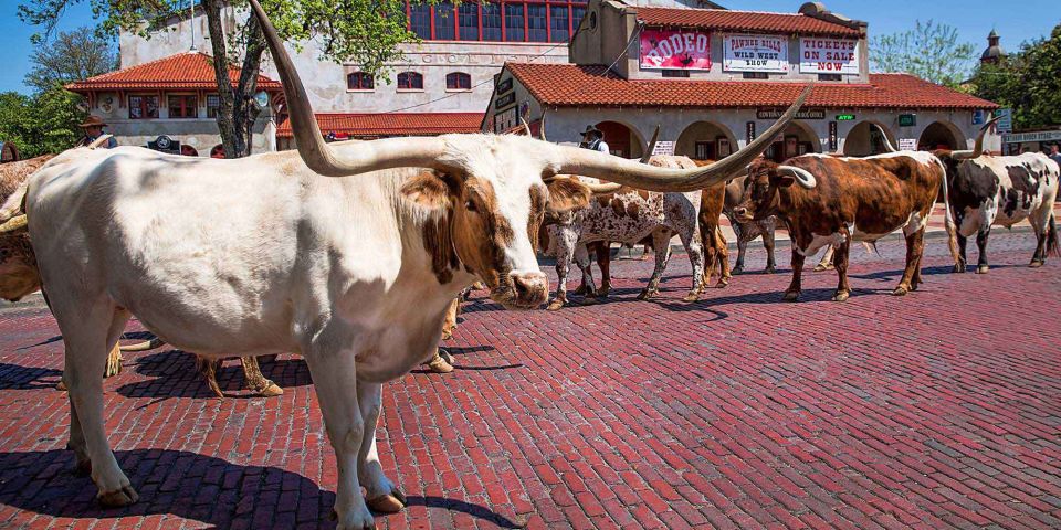 From Dallas: Fort Worth Guided Day Tour - Booking and Cancellation