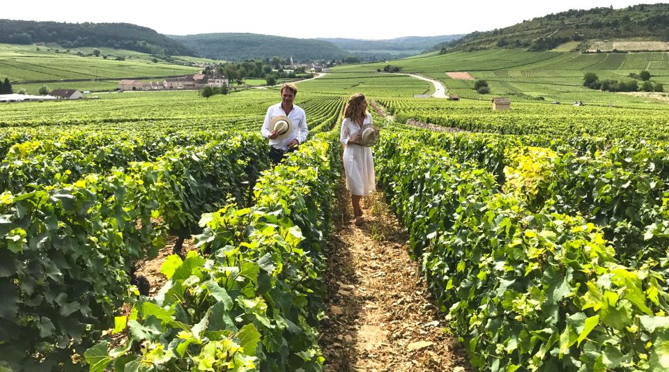 From: Dijon/Beaune: Burgundy Region Winery Tour With Lunch - Itinerary Overview