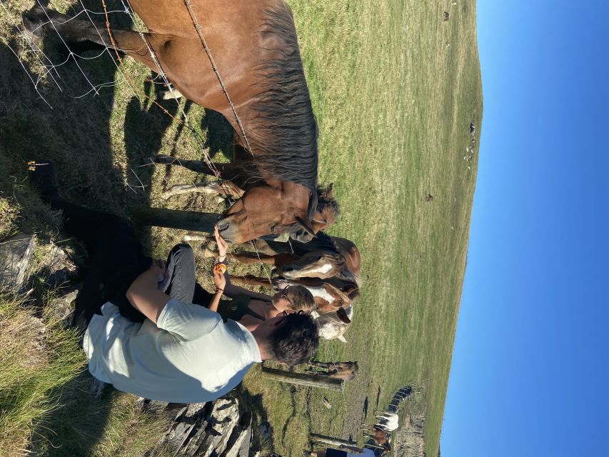 From Doolin: Cliffs of Moher Guided Coastal Walk - Experience Highlights