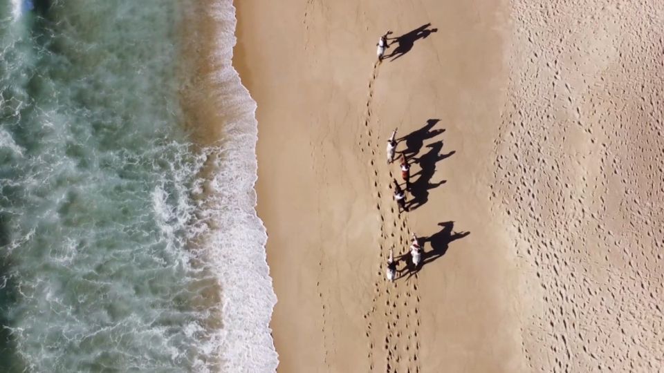 From Evora: Horseback Riding on Comporta Beach - Journey to the Largest Beach