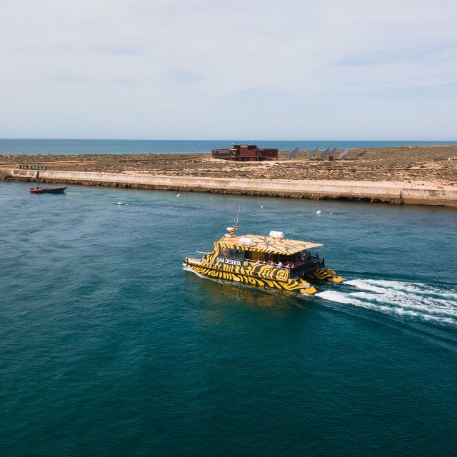 From Faro: Catamaran Boat Trip to Deserta Island With Stop - Faro Boarding and Ria Formosa Cruise