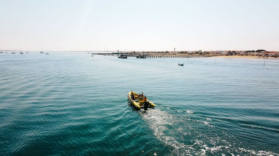 From Faro: Ria Formosa Hop-On Hop-Off Island Cruise - Islands and Highlights