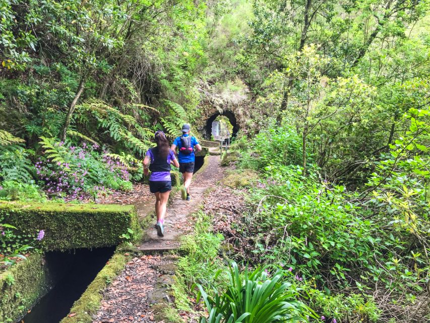 From Funchal: Folhadal Trail Running Tour (Moderate) - Pricing and Booking