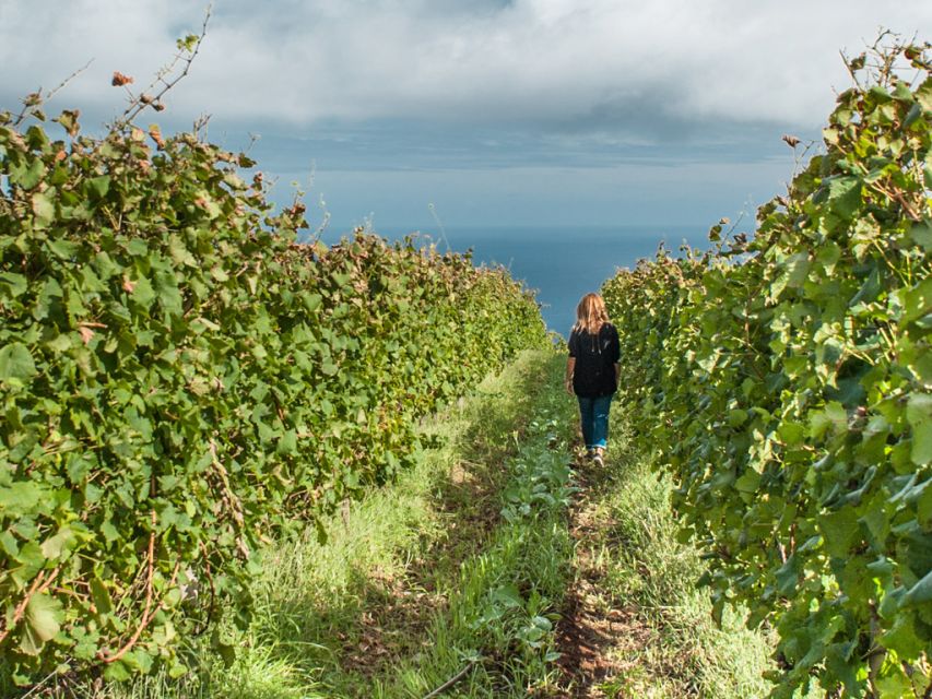 From Funchal: Full-Day Madeira Wine Tour With Lunch - Wineries and Winemakers