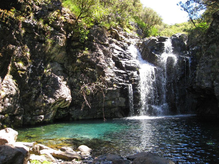 From Funchal: Madeira Lakes Levada Guided Hike - Hike Through Wilderness Landscapes