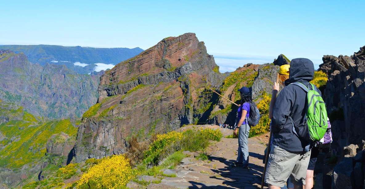 From Funchal: Madeira Peaks Mountain Walk - Highlights of the Hike