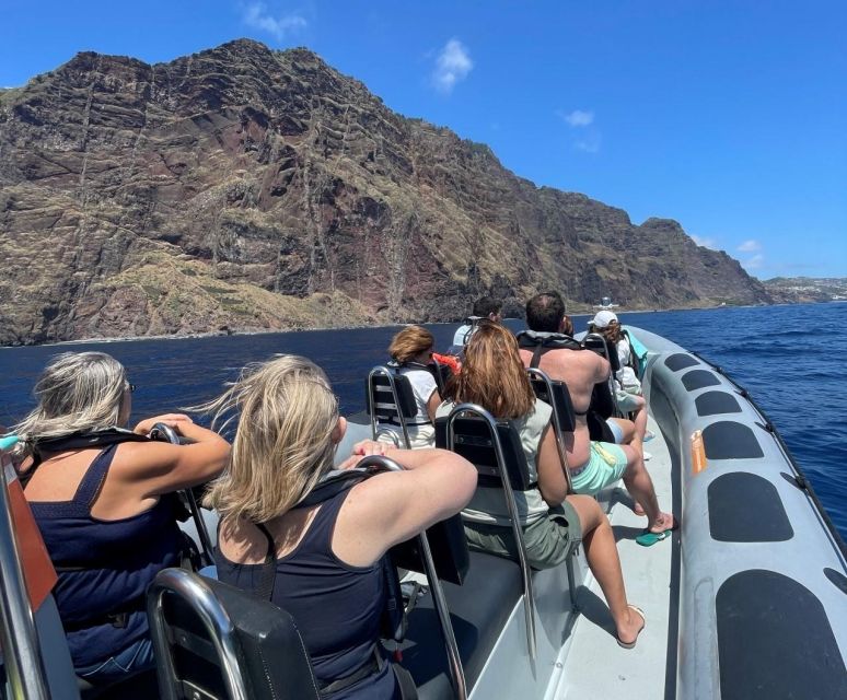 From Funchal: Whale and Dolphin Watching - Cruise Experience