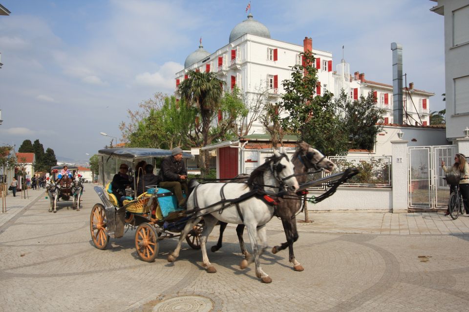 From Istanbul: Full-Day Princes Island Tour With Lunch - Inclusions