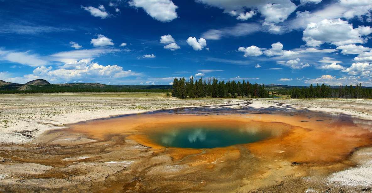 From Jackson: Yellowstone National Park Day Trip With Lunch - Arrival at Yellowstones Lower Loop