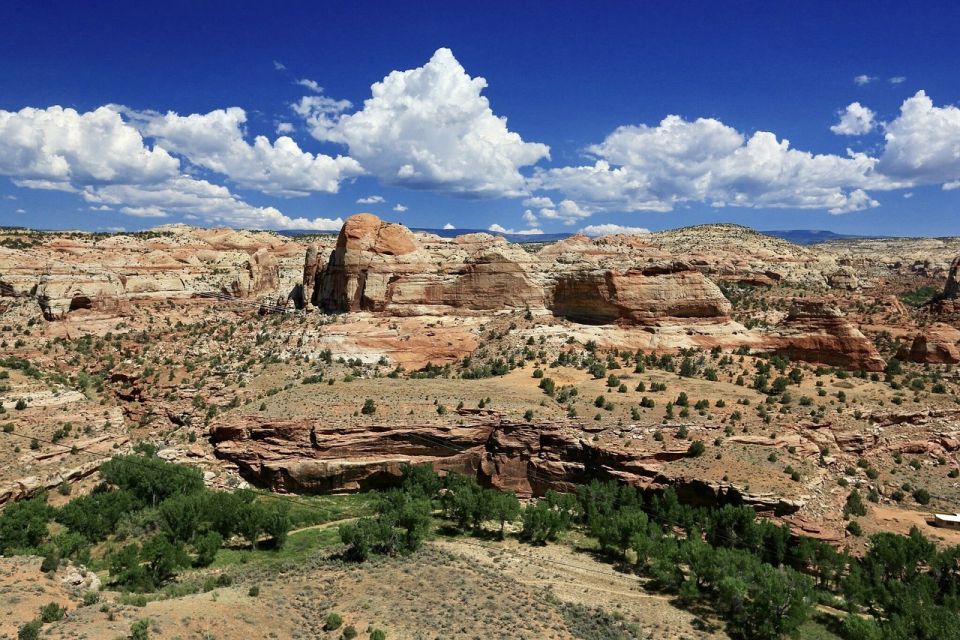 From Kanab: Grand Staircase-Escalante Drive & Hike Tour - Discovering Grosvenor Arch and Hackberry Canyon