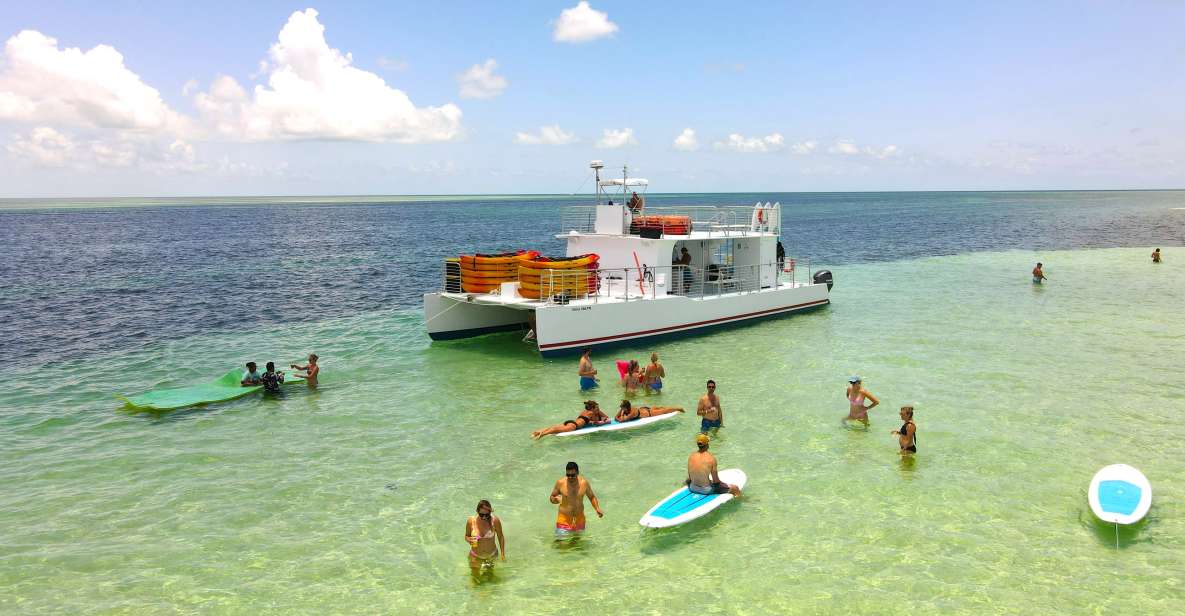 From Key West: Dolphin Watching Tour With Lunch & Drinks - Dolphins in Their Natural Habitat