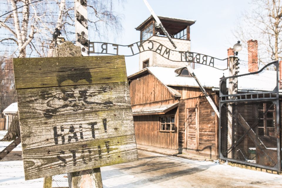 From Krakow: Auschwitz and Wieliczka Salt Mine Full-Day Trip - Itinerary and Experiences