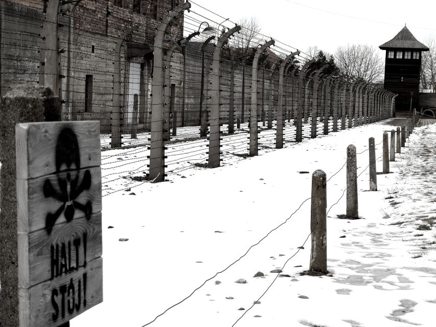 From Krakow: Auschwitz-Birkenau and Wieliczka Salt Mine Tour - Itinerary and Experience