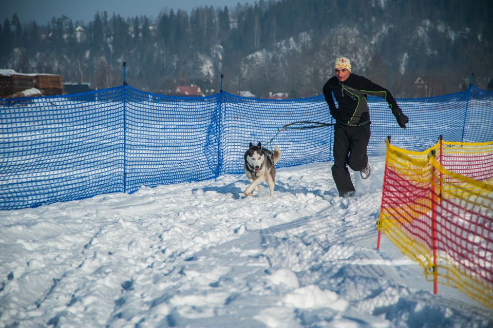 From Krakow: Dogsled Ride in Tatra Mountain - Itinerary Details