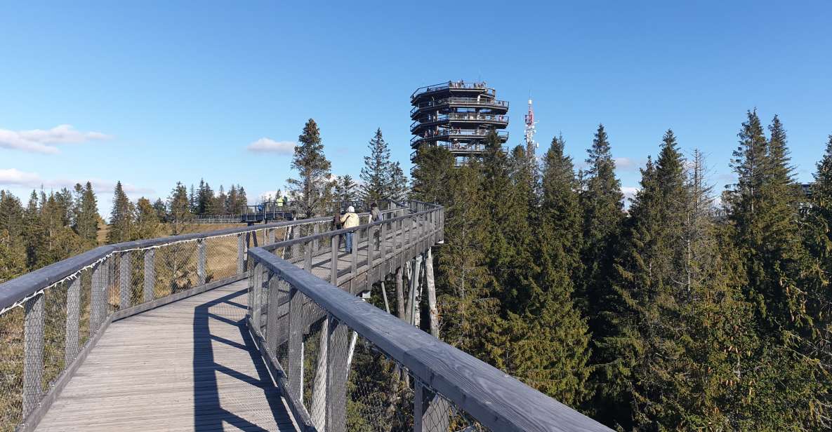 From Krakow: Tour to Slovakia Treetop Walk and Thermal Baths - Experience Highlights