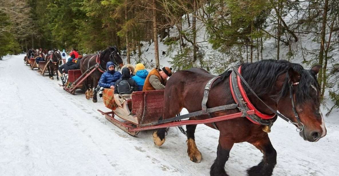 From Krakow: Zakopane, Sleigh Ride & Thermal Baths Tour - Itinerary Highlights