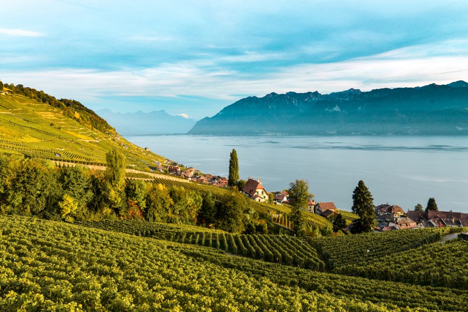 From Lausanne: Swiss Riviera Tour - Experience Highlights