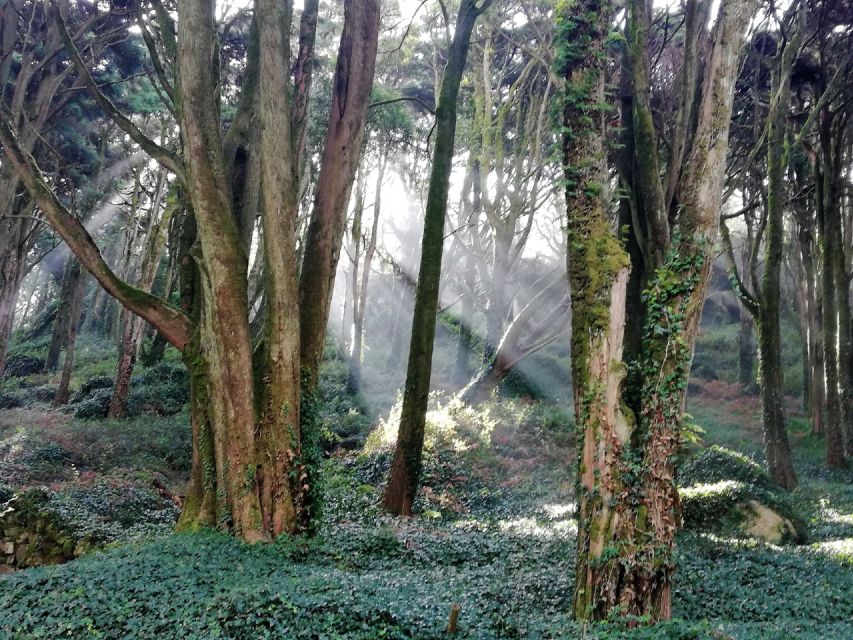 From Lisbon: Half-Day Private Tour to Sintra Village - Explore Sintras Historic Center